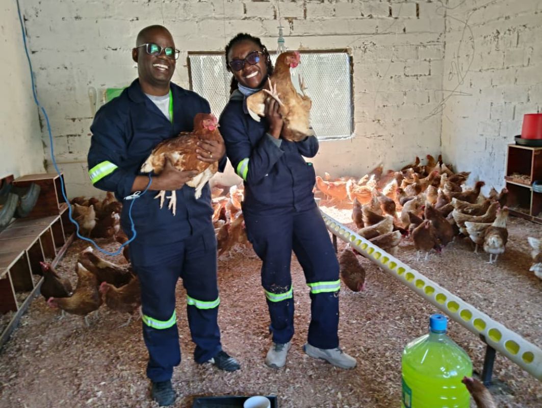 Kabulonga Primary School Launches Chicken Production Unit to Boost Practical Skills and Nutrition